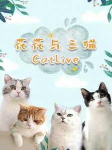 花花与三猫CatLive